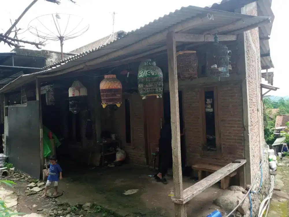 Tukang bangunan dan renovasi rumah