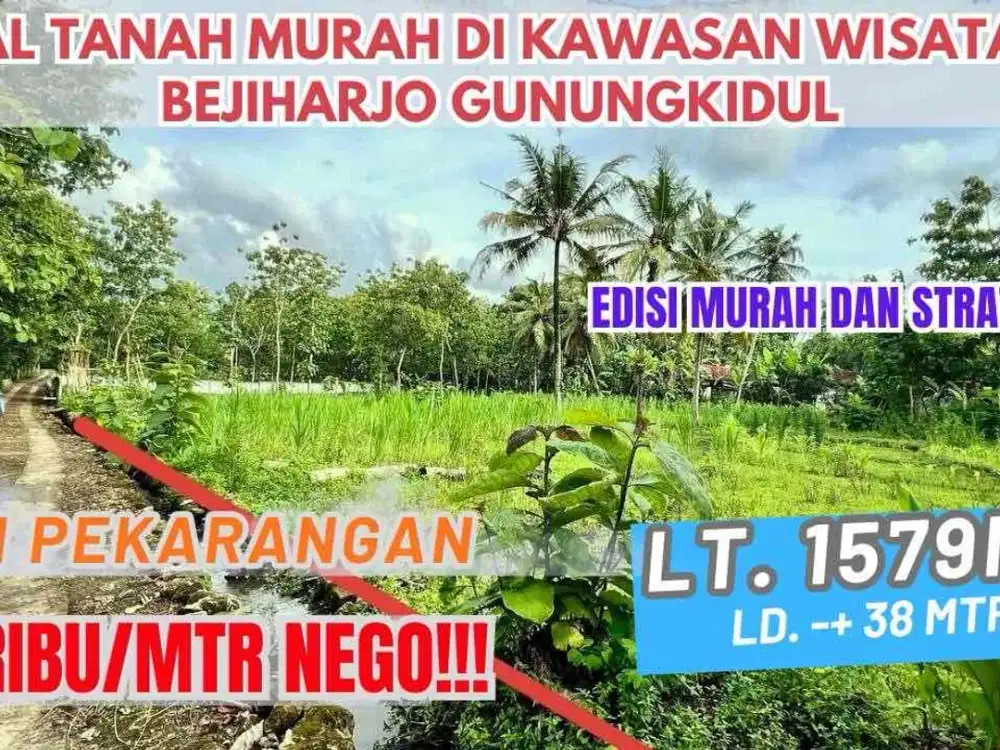 Jual Tanah Murah Subur Pekarangan di Wisata Goa Pindul Bejiharjo Gunung Kidul