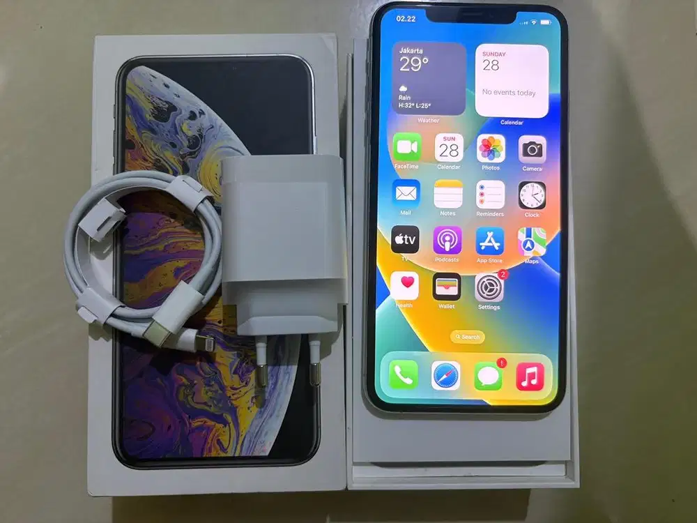 Jual IP Xs Max 64GB Silver Second