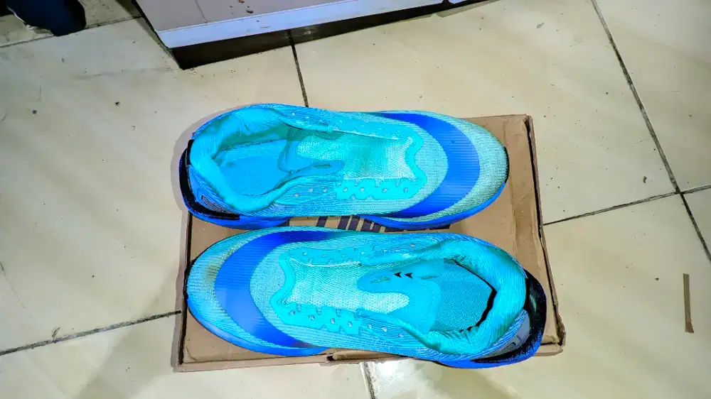 sepatu joging/running