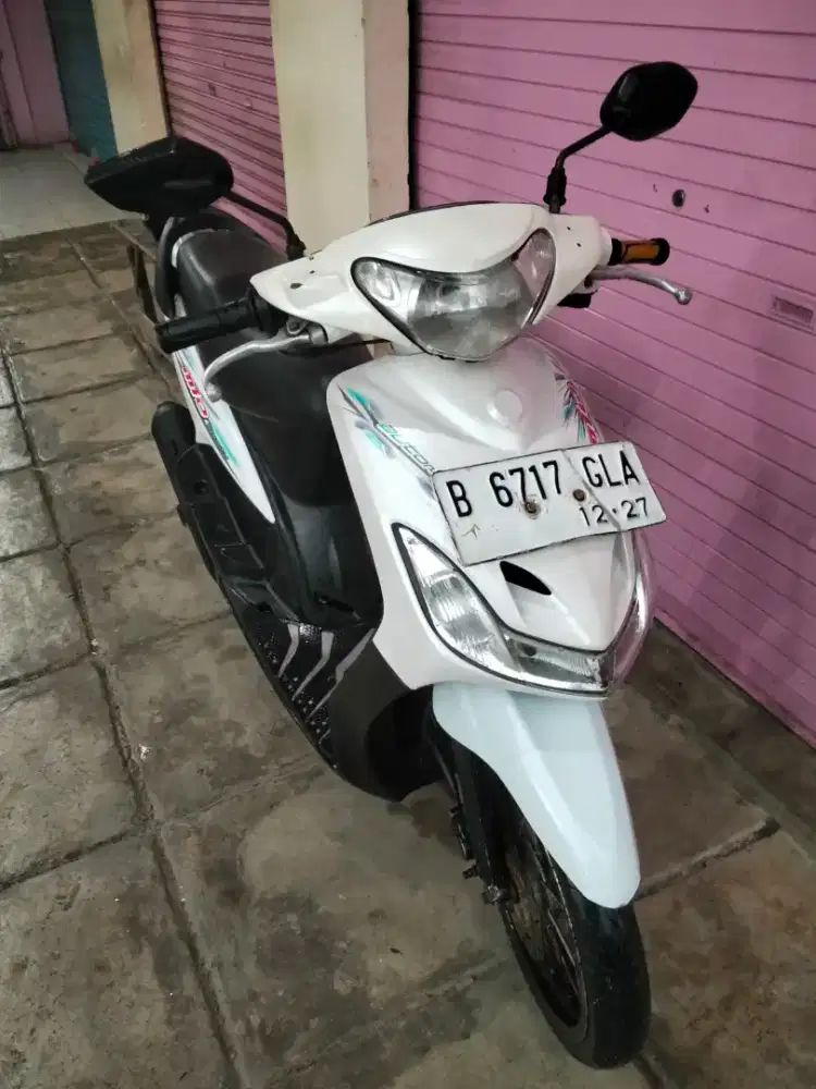 Mio halus mulus skli