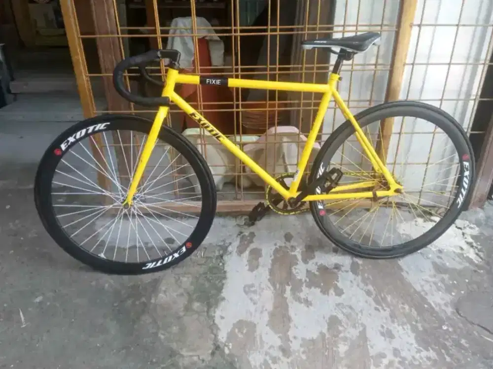 Sepeda fixie exotic