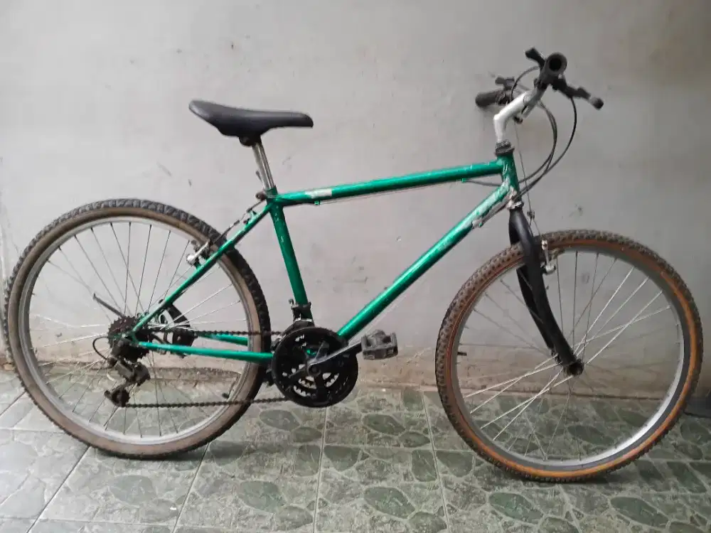 Federal insera rims 26 lancar