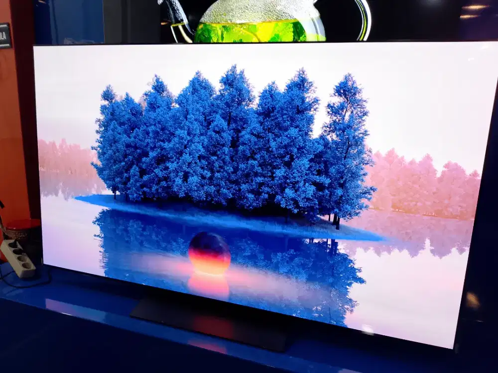 SEMART TV LG OLED 65INCH C4