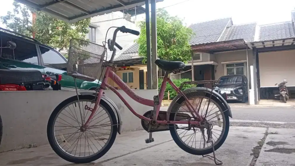 Sepeda Wim Cycle Pink