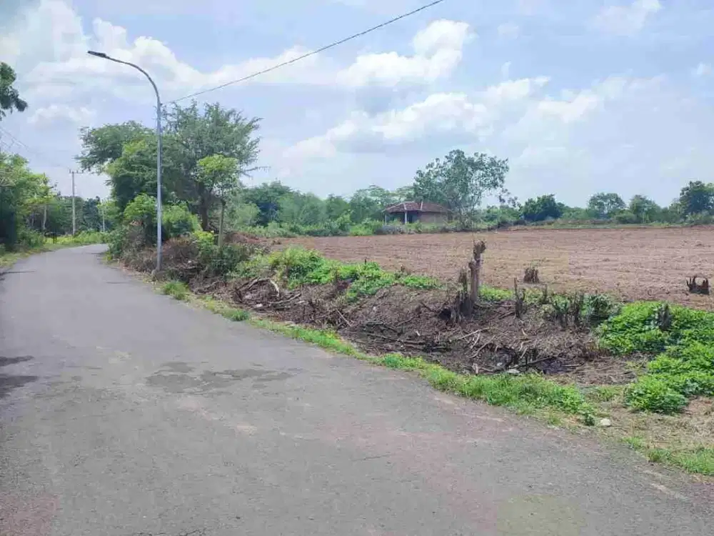 Tanah 1ha  dijual di Arjasa Situbondo