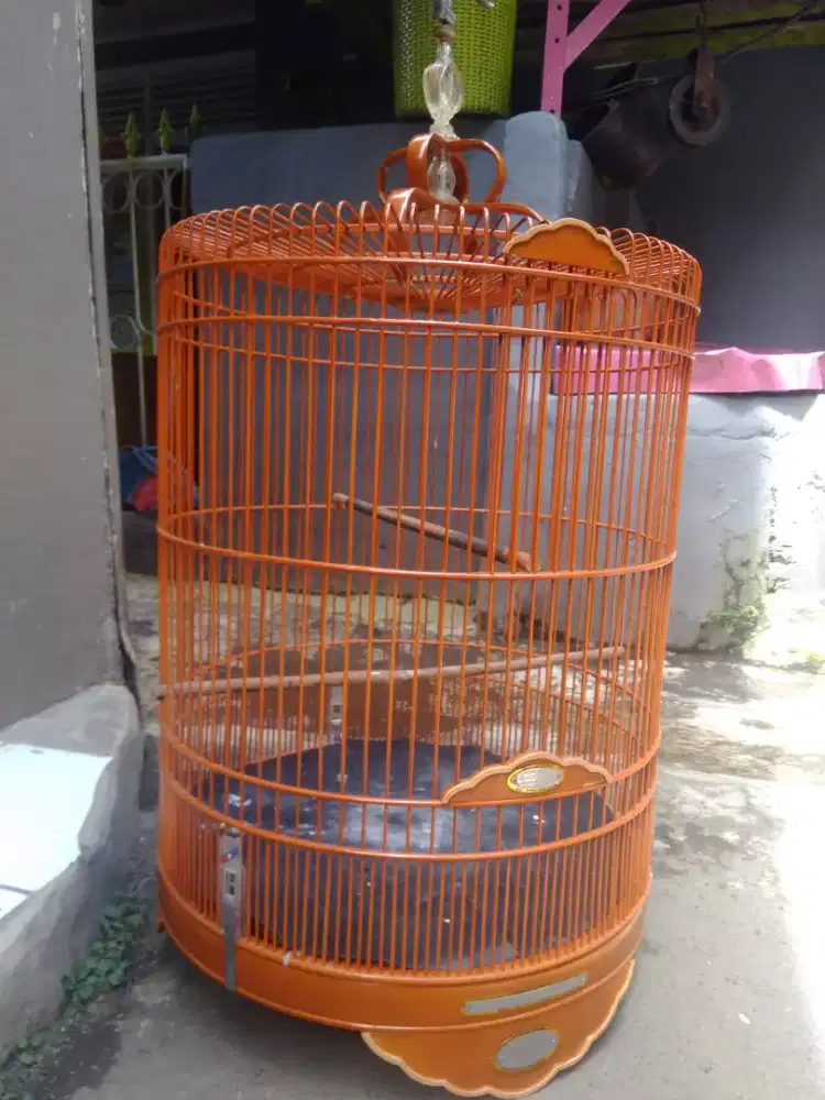 sangkar burung murei