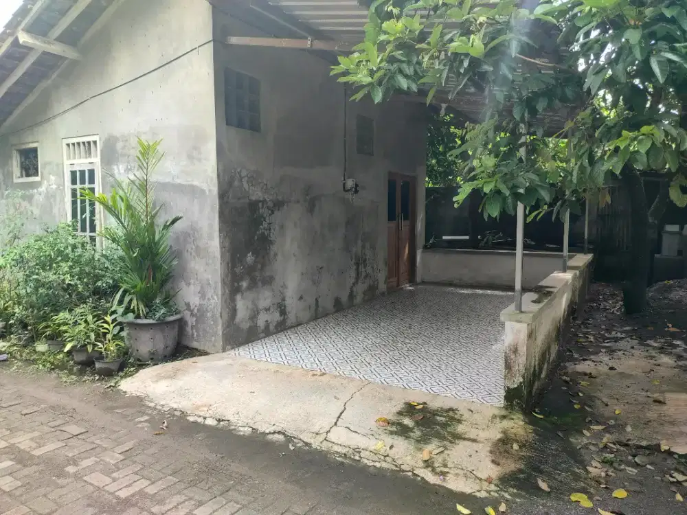 Dikontrakkan Rumah Murah