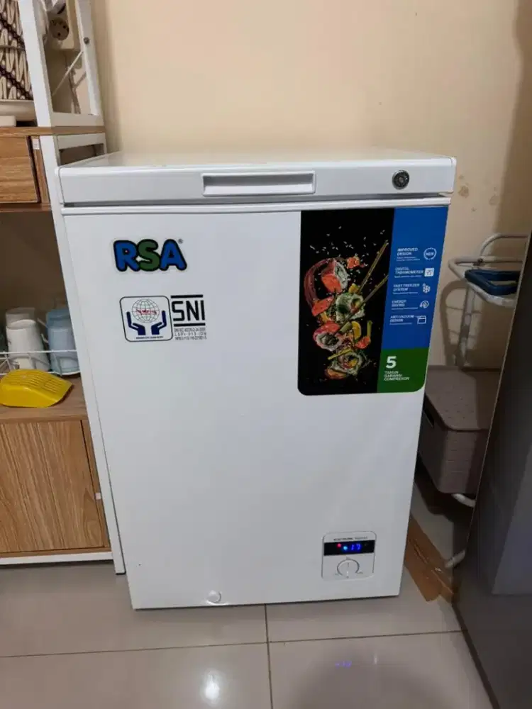 Freezer RSA 100 liter