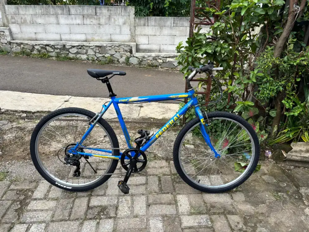 Sepeda Federal Commuter Bike