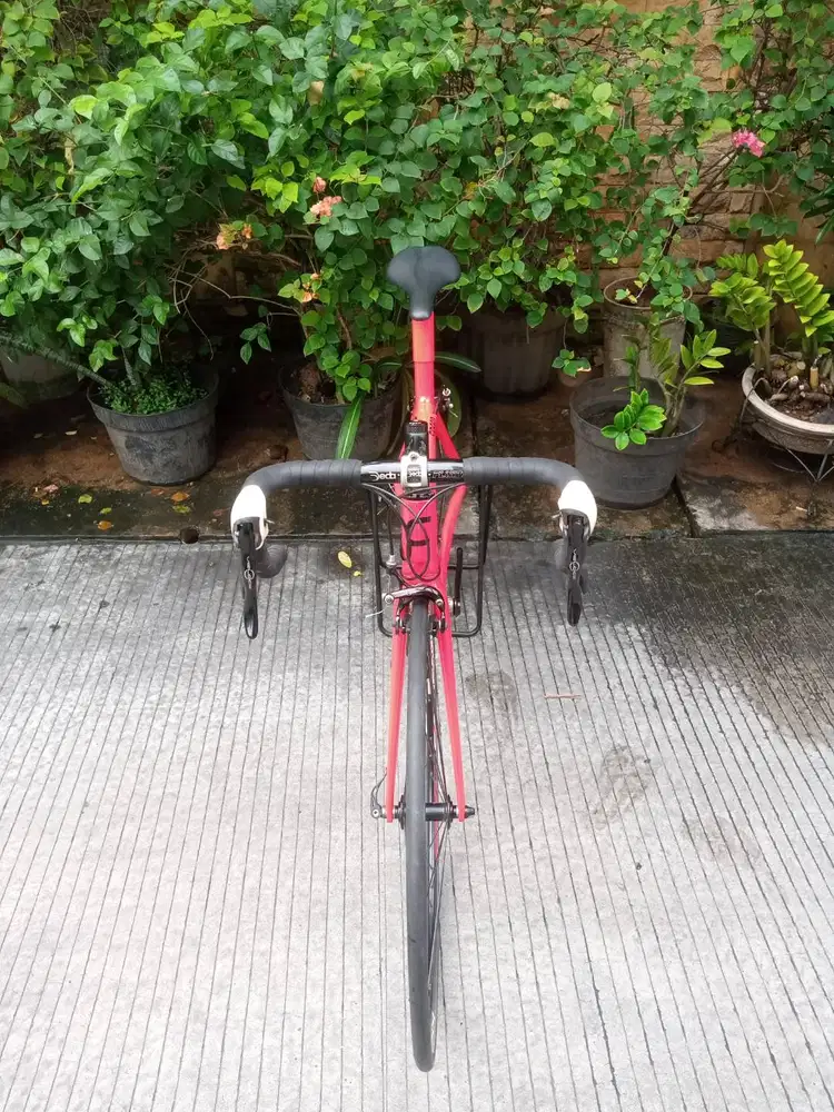 Roadbike CARBONIO SPEED