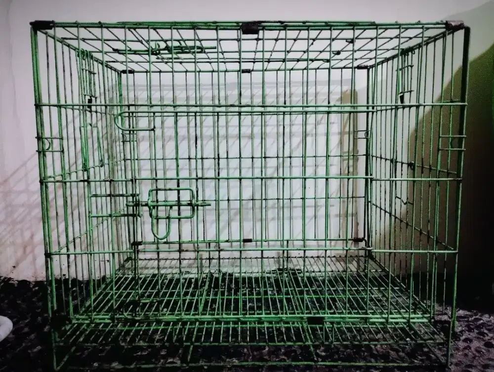 Kandang kucing uk.60cm