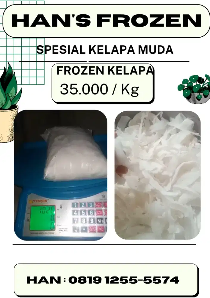 Frozen Kelapa Muda