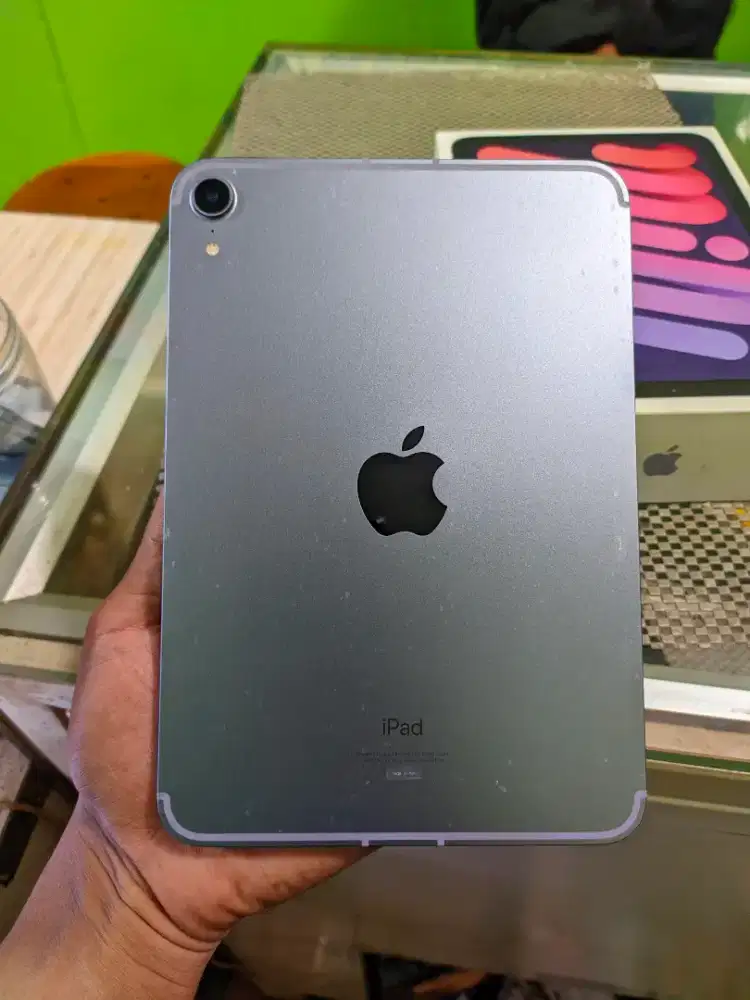 Ipad Mini 6 Celluler ibox