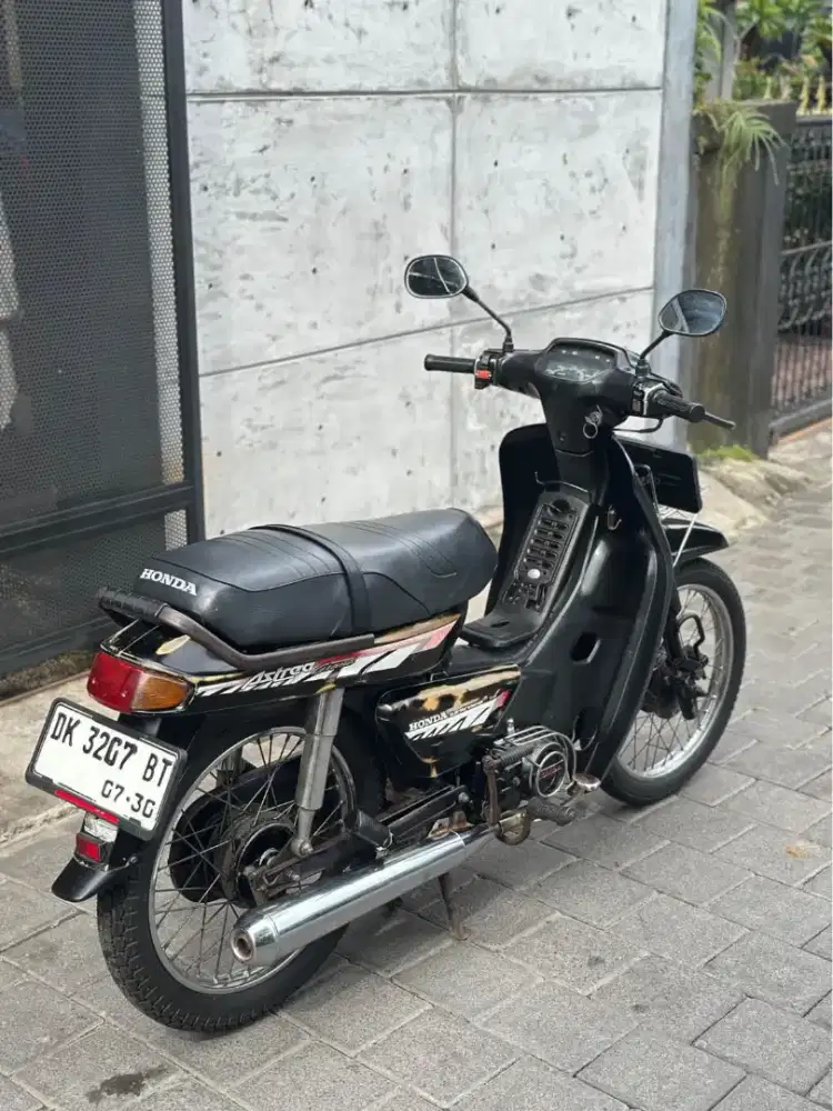 Astrea grand bulus 1993