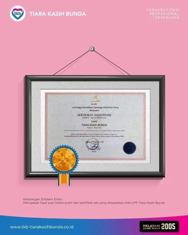 Job lsg penempatan tanpa biaya: Baby Sitter ART dan Perawat Lansia