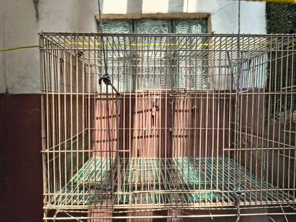 Kandang besi tebal,Pakan burung,Vitamin burung