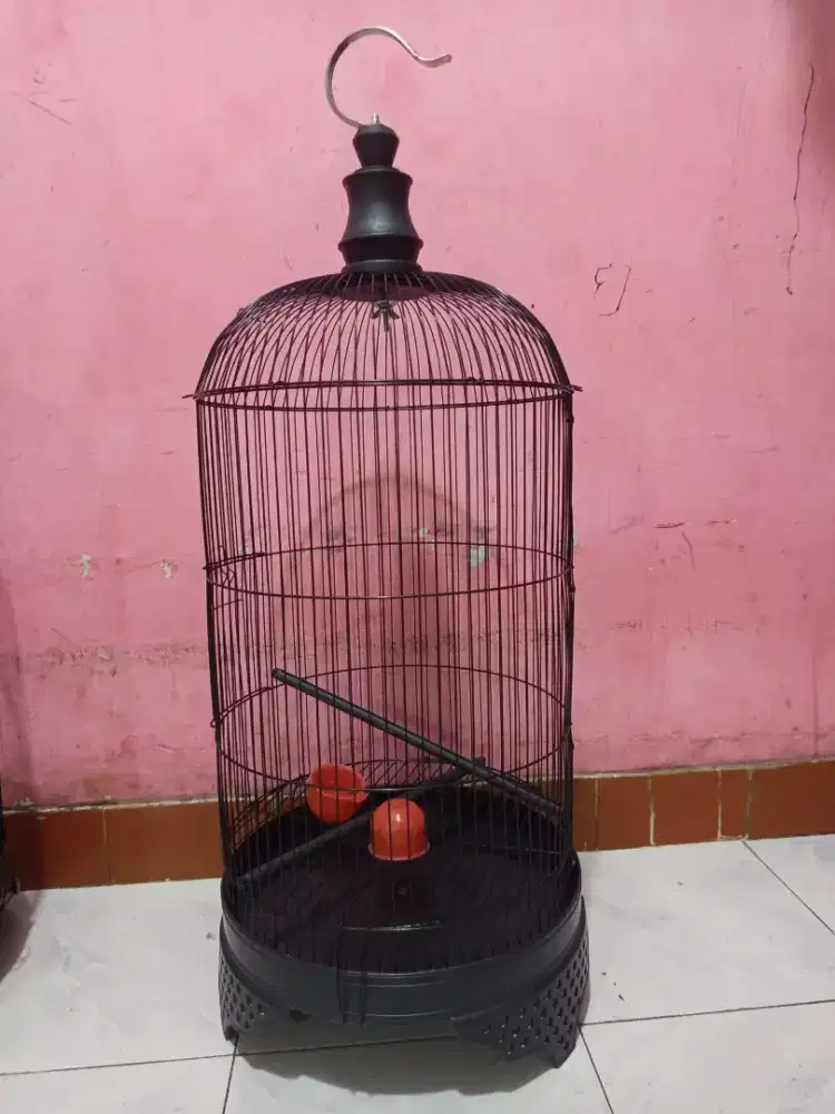 Kandang Baru Buat Lovebird..kenari dll