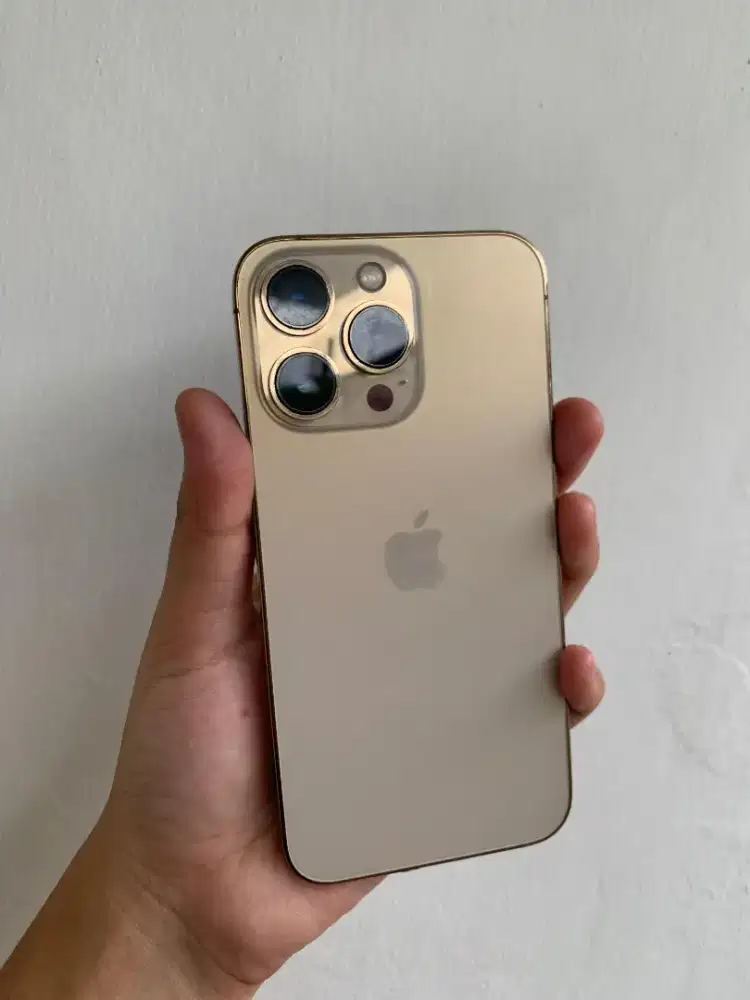 Iphone 13 PRO 256GB BEACUKAI