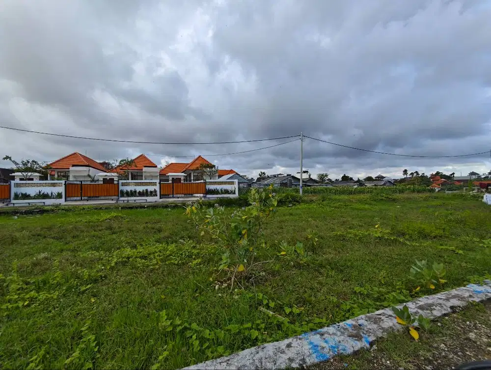 Disewakan tanah kedampang kerobokan view sawah( cocok utk dbgun villa)