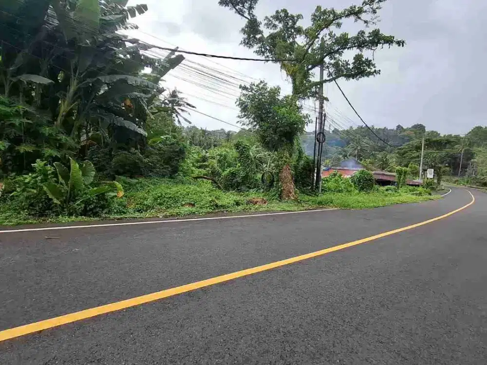 Tanah Jalan Utama Denpasar Gilimanuk Dekat Exit Toll Antosari