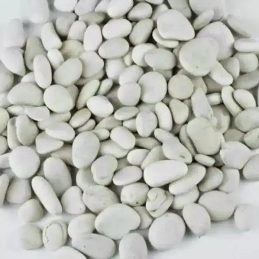 Batu Koral Putih Satu Kilo