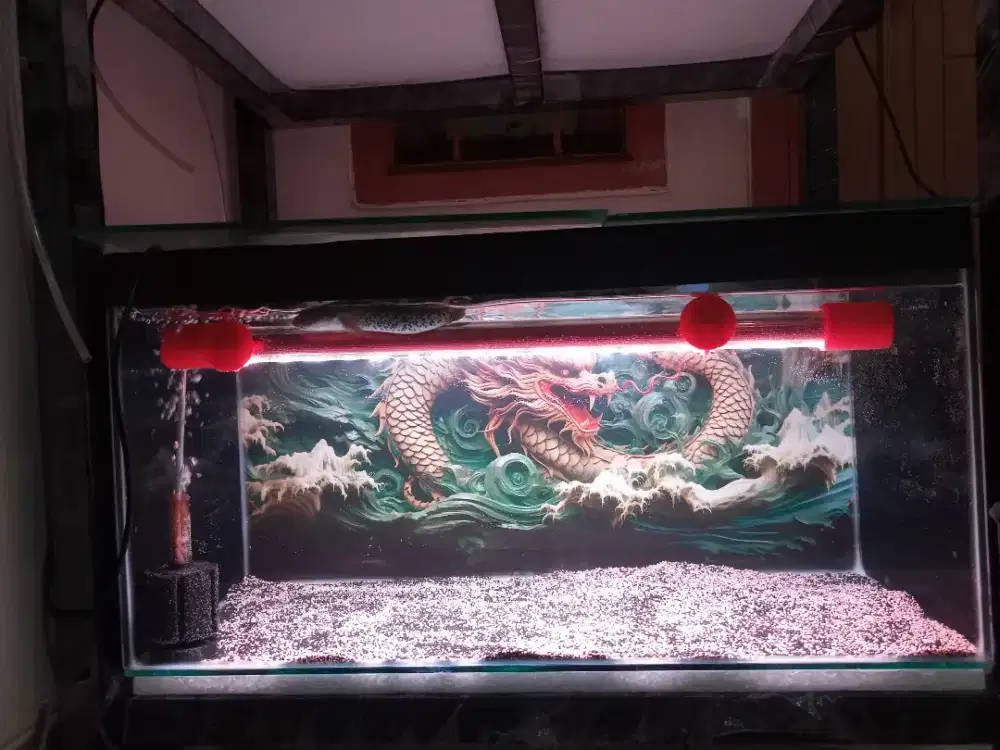 Aquarium 60x30x30 Full BG 3D