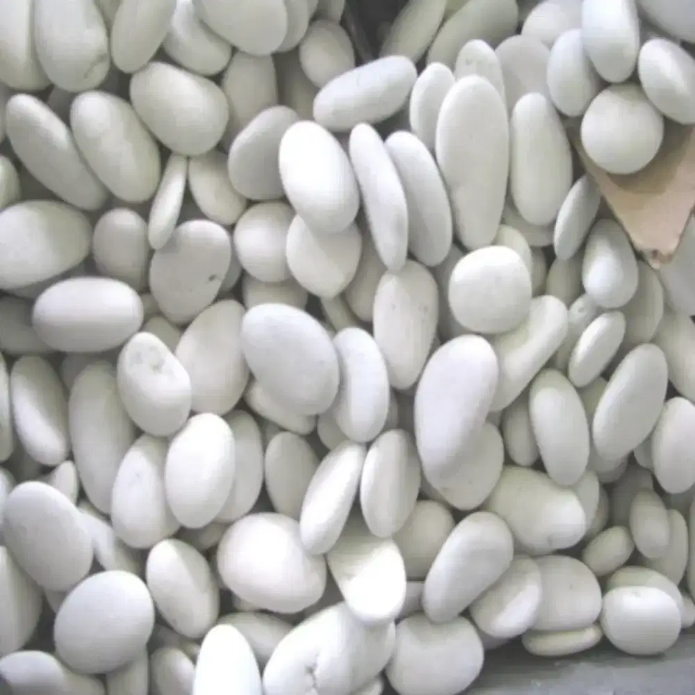 Promo Murah - 1000 Gram Batu Koral Putih Besar