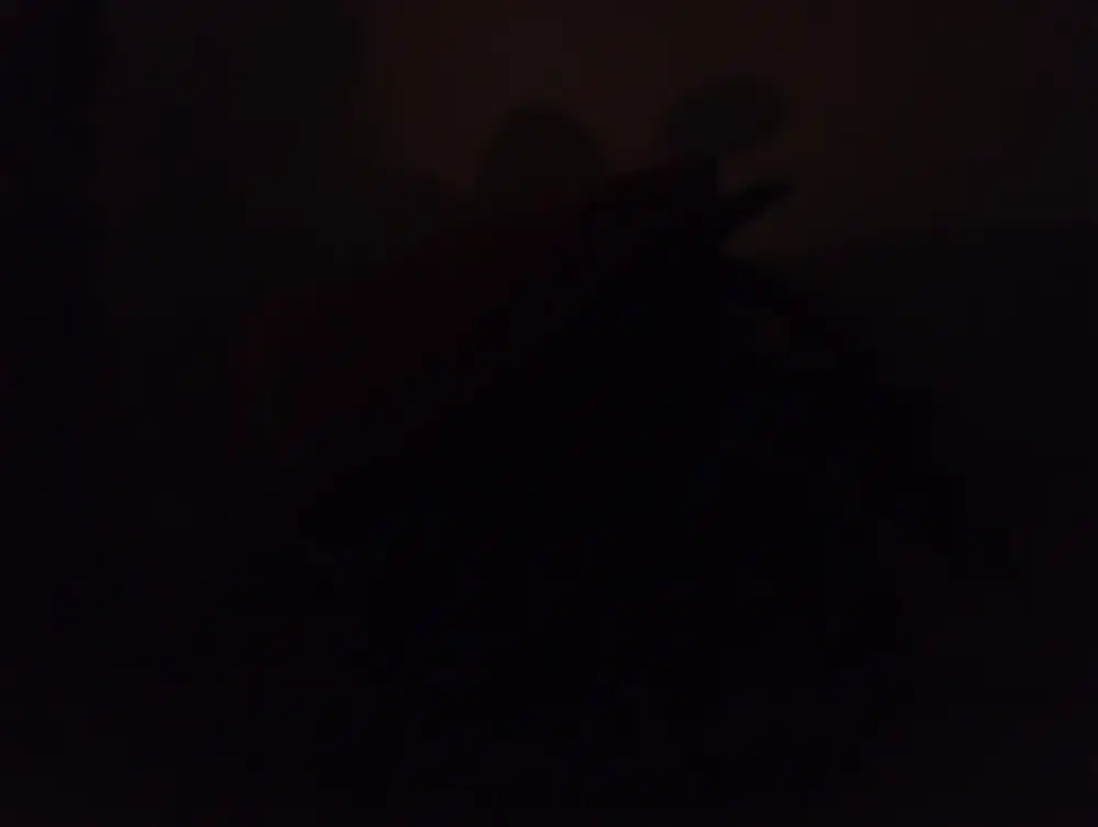 Di cari motor NMAX tahun 2020