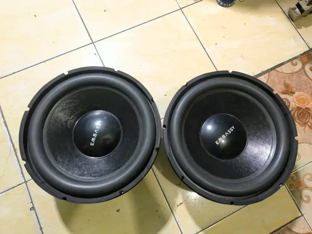 speaker embassy 15 inchi