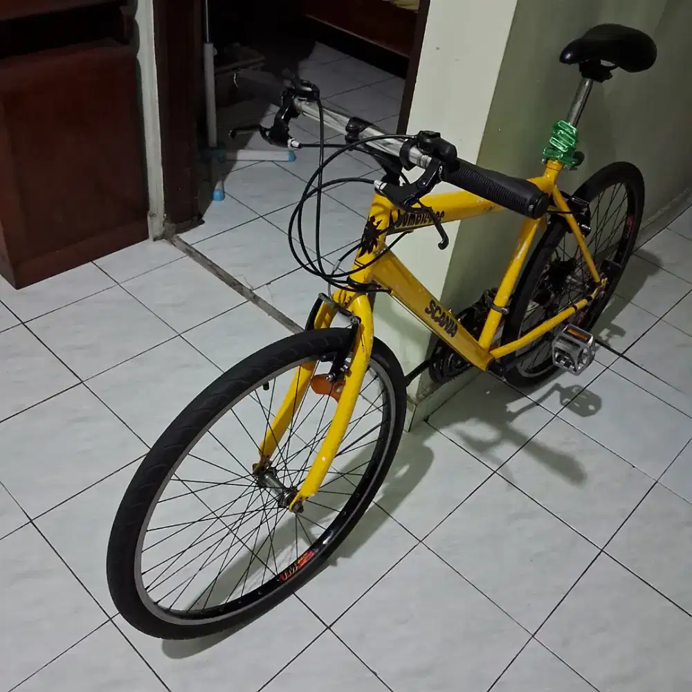 Genio Custom Jadul 26 Scania