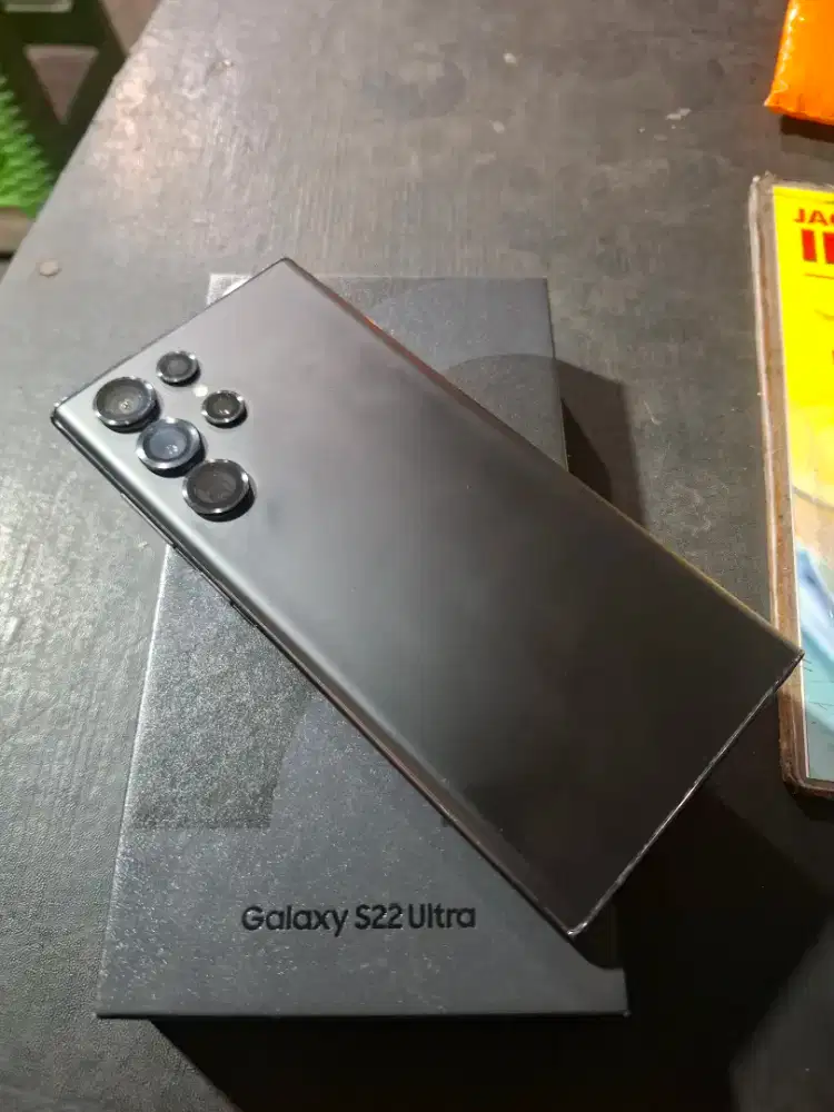 Samsung S22 Ultra 12/256 Ex sein