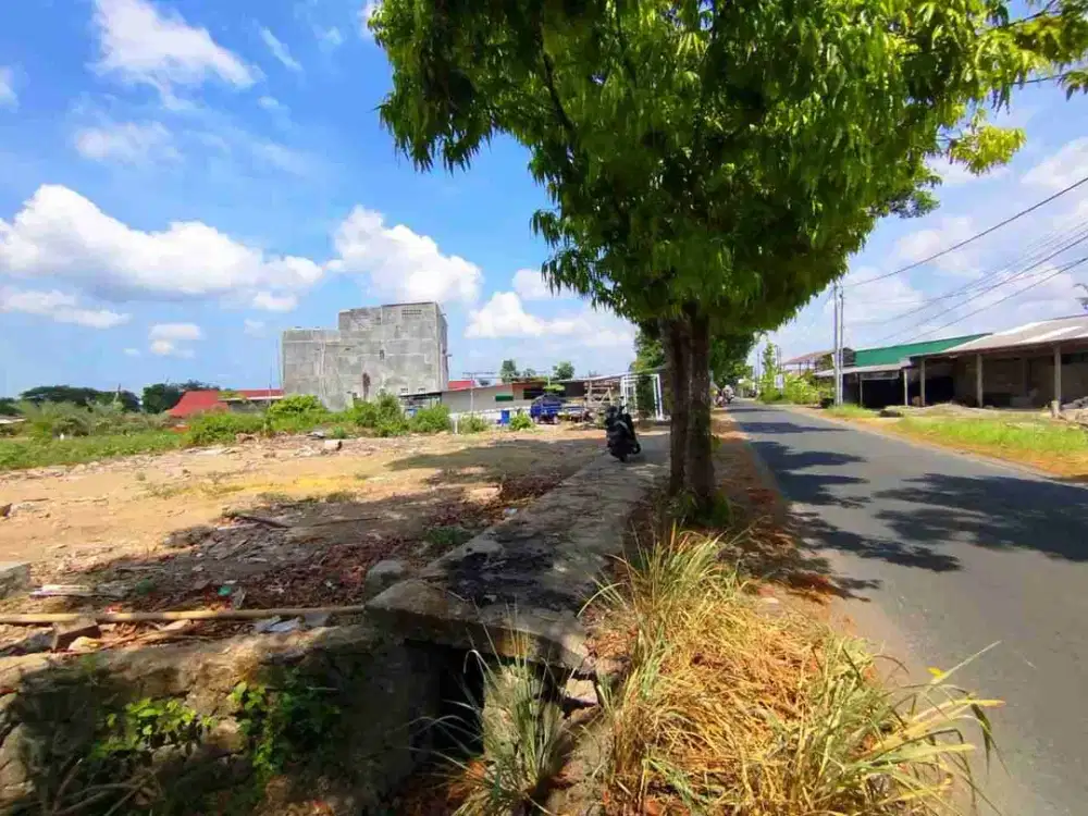 DIJUAL TANAH KAVING TEPI JLN ASPAL DEKAT JLN UTAMA IMOGIRI TIMUR KM 7