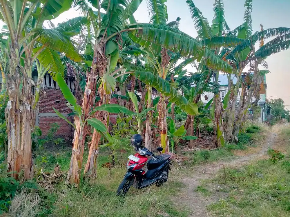 Luas tanah 200m² ( 9x23)