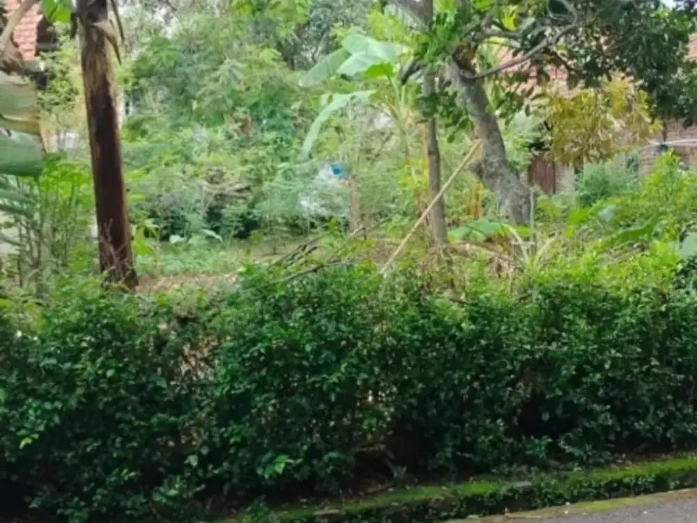 Tanah Tembalang Bulusan Undip