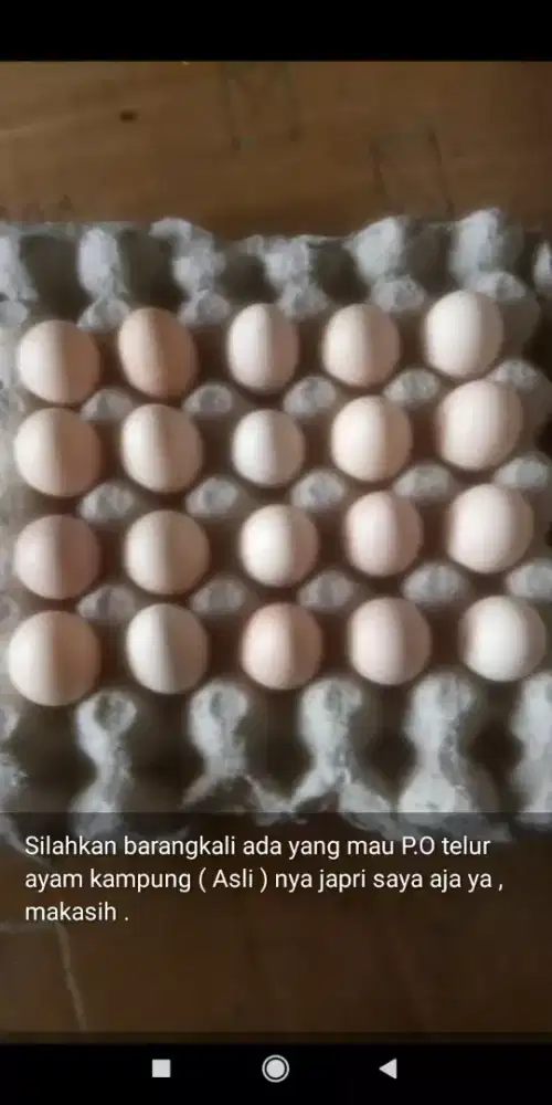 Telur Ayam Kampung Asli