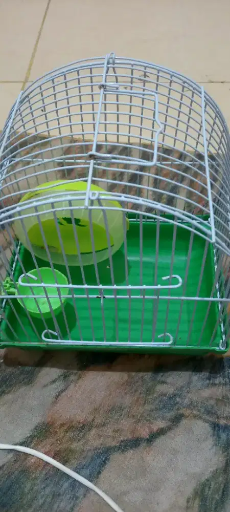 Kandang Hamster kecil