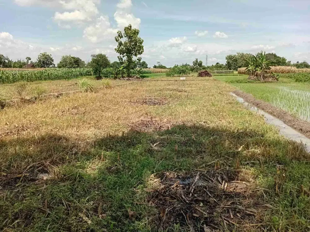 Jual cepat tanah di Ngawen Klaten lokasi pinggir jalan raya hanya 7menit ke RSI Klaten