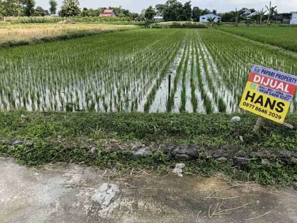 Tanah kavling pertanian zona hijau di ngawen klaten