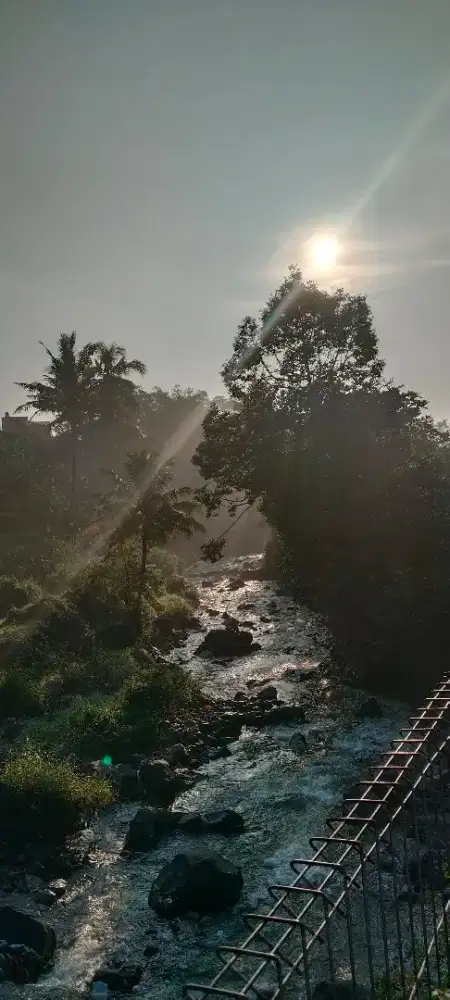 Butuh mendesak pria Kerja cuci gosok