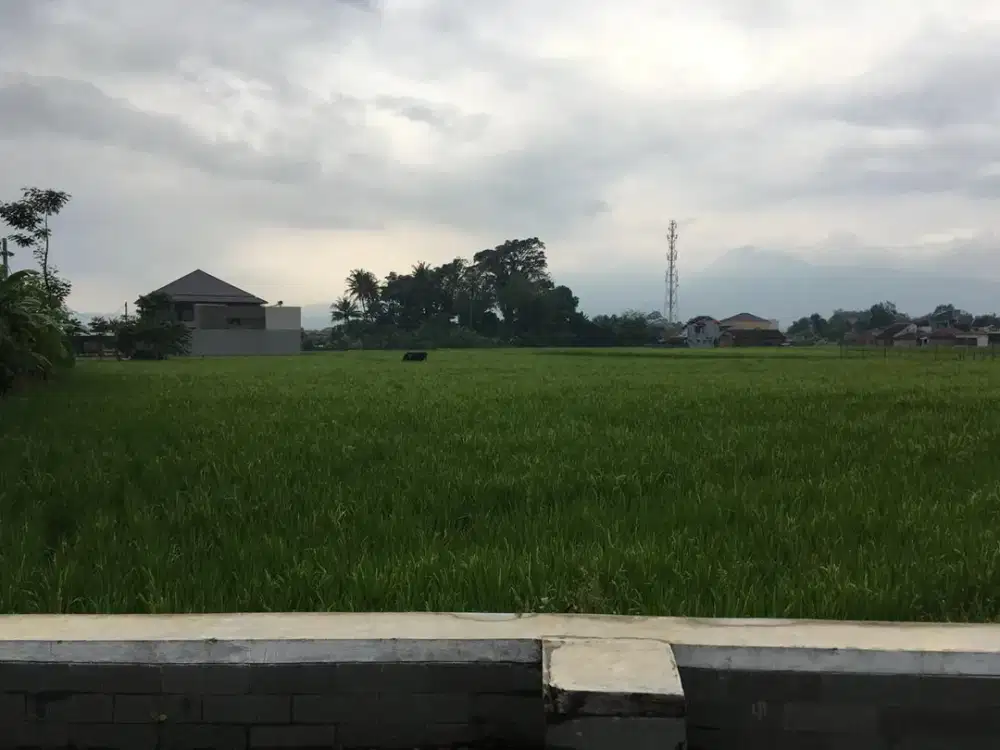 HOT DEAL! LOKASI PREMIUM DAN KOMERSIL MAINROAD TRS AL FATHU, DEKAT PEMKOT DAN TOL. TANAH COCOK UTK CLUSTER DAN KOMERSIL