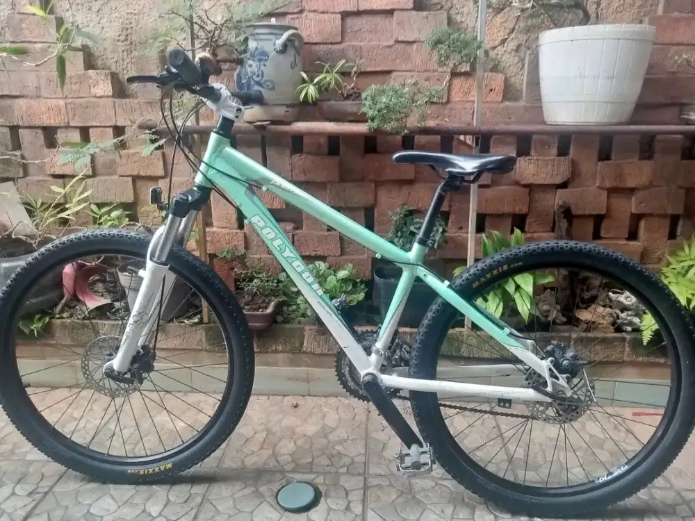 Sepeda Polygon premier 3