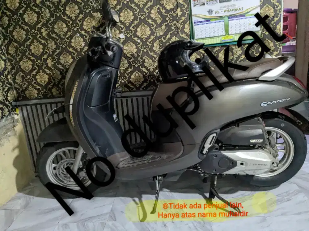 Scoopy Stylish 2023 ( brown )