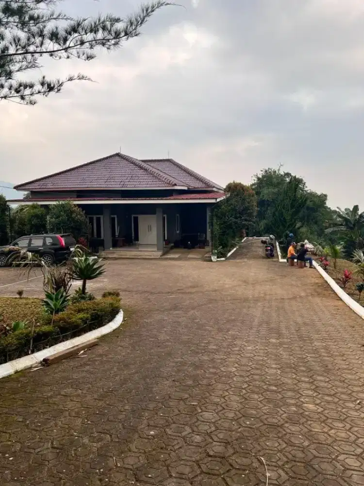 Jual butuh vila dan sawah di Cipanas luas tanah 1 hektar 3 ribu meter