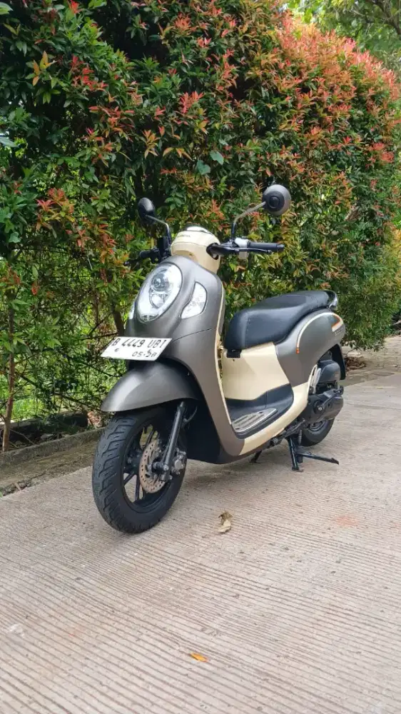 Ready Honda Scoopy Fashion Tahun 2023