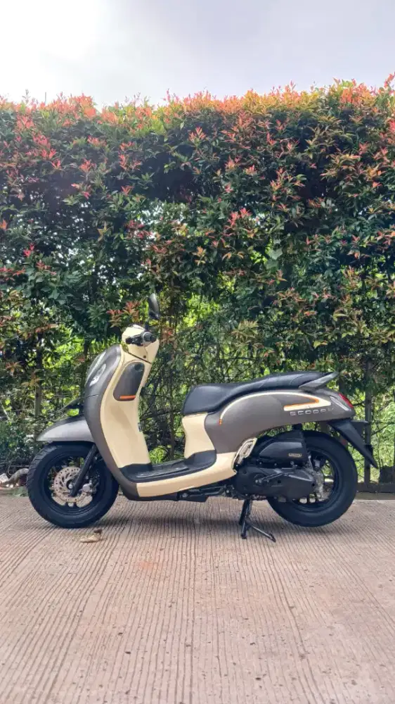 DP 500RB HONDA NEW SCOOPY FASHION TAHUN 2023