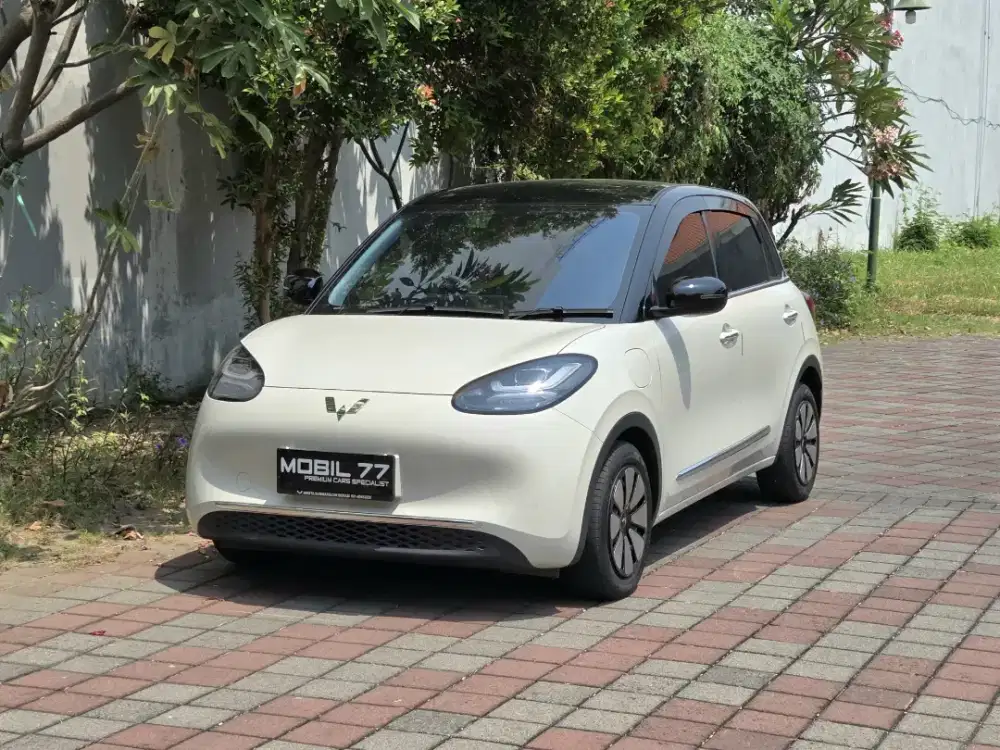 Wuling Binguo EV pro ac dc odo19rb Tahun 2024