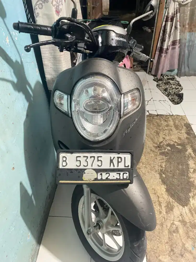 Scoopy Stylish Setangan