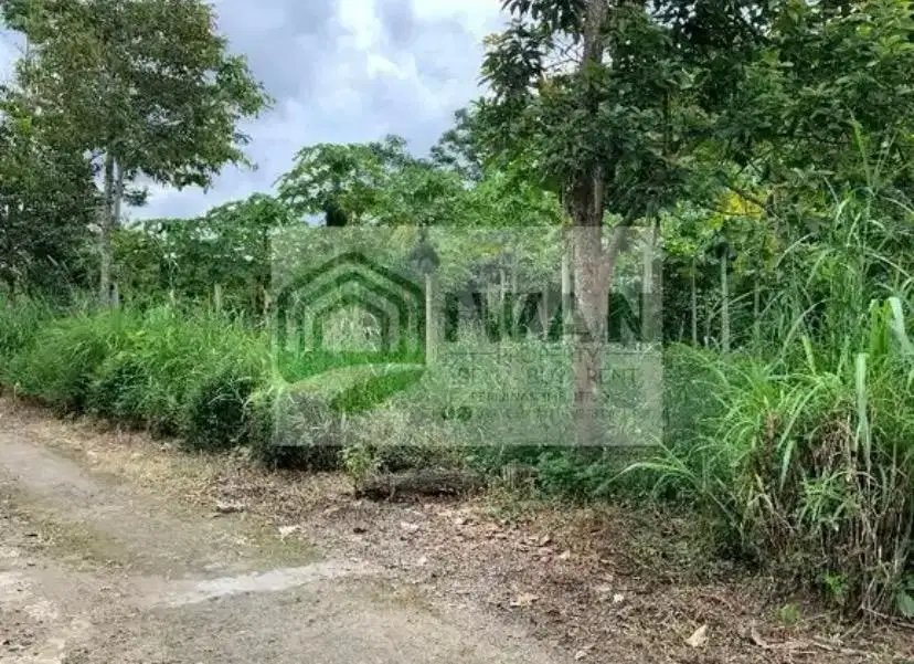 Tanah Kering/Pekarangan Radius Kota Murah Ada Sungainya