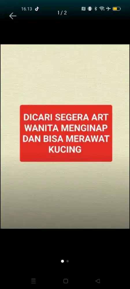 Dicari art wanita menginap